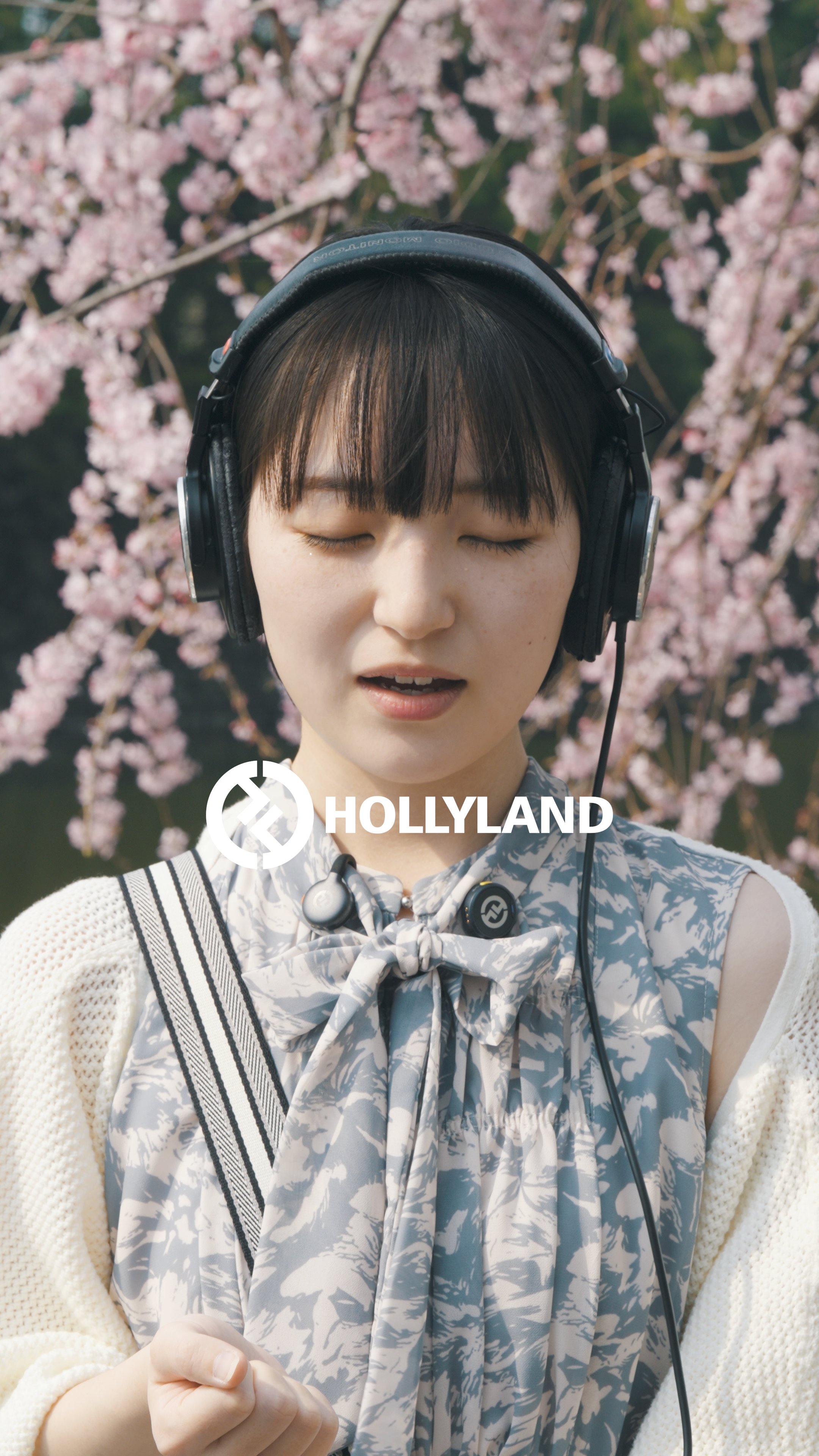 HOLLYLAND の映像作品