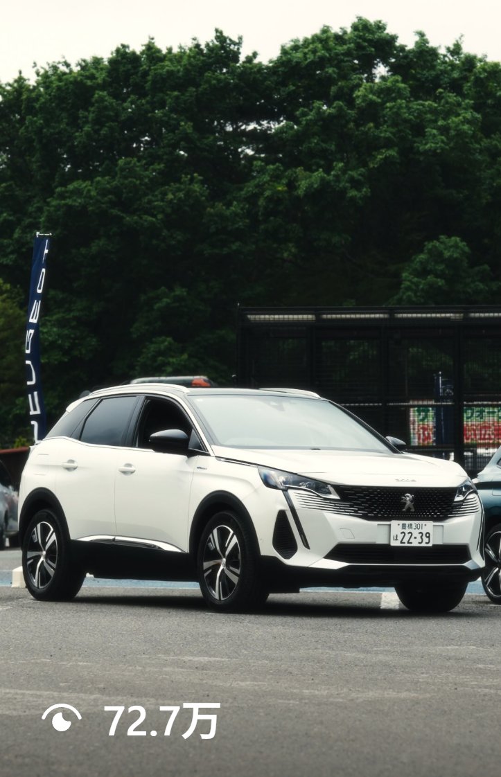 Peugeot の映像作品